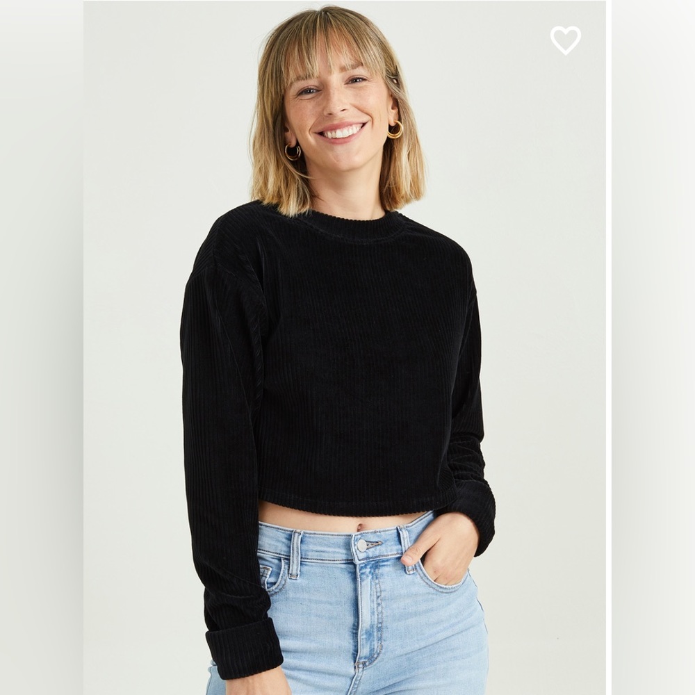 Altered State Mya ribbed cropped velour top